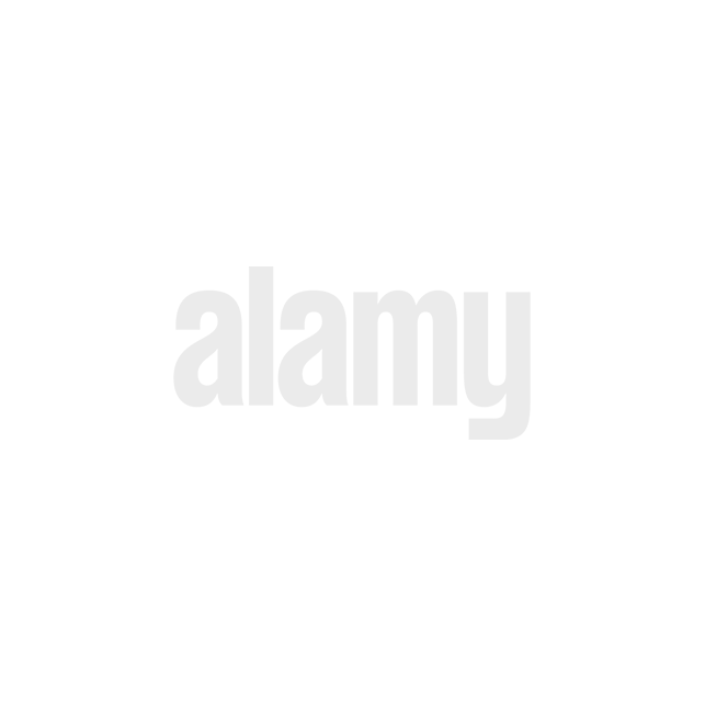 alamy