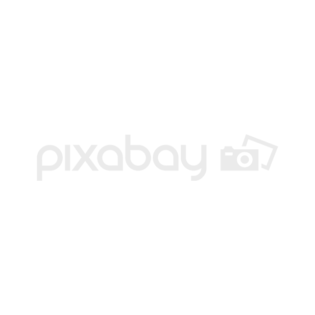 pixabay